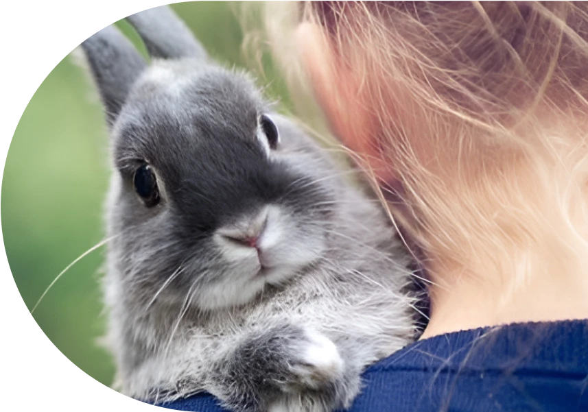 Tidligere deltager Katrine nusser med en kanin som sidder på hendes skulder