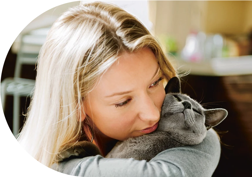 Frivillige Rosa kæler med en grå kat