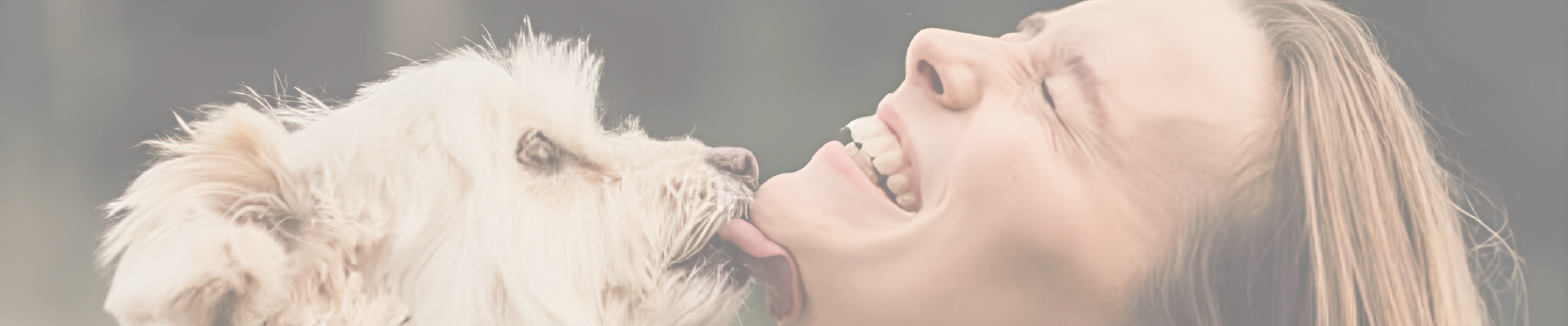 mere end dyrevenner banner