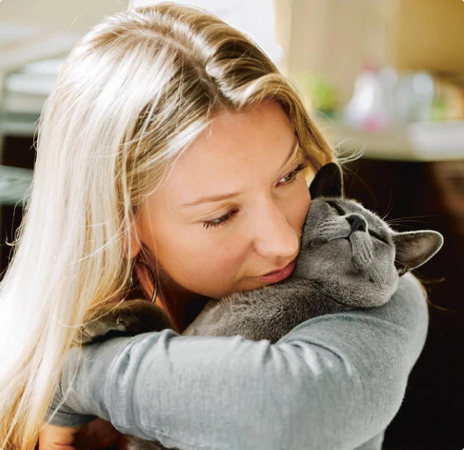 Frivillige Rosa kæler med en grå kat
